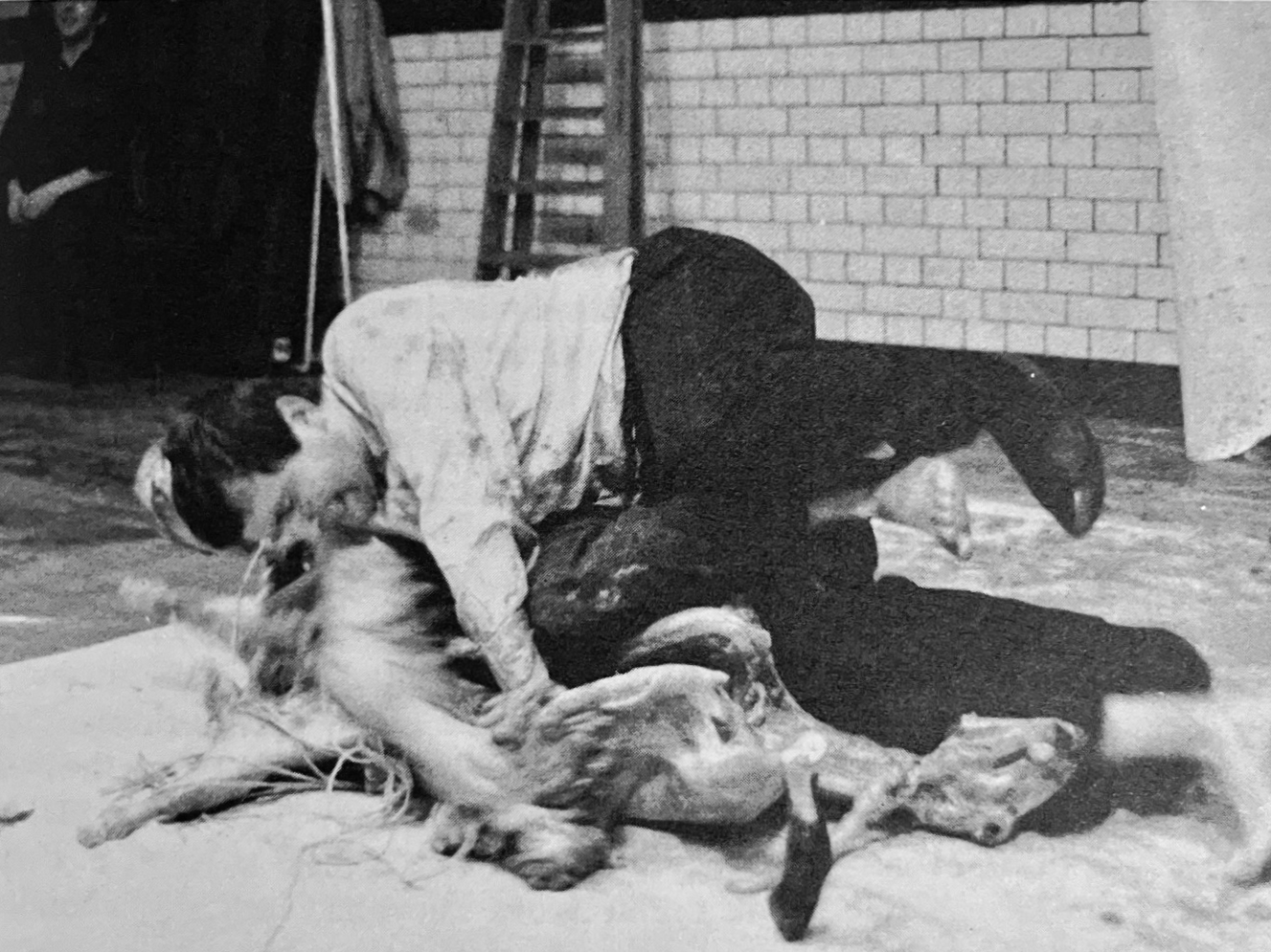 Hermann Nitsch acts on top of a lamb carcass.